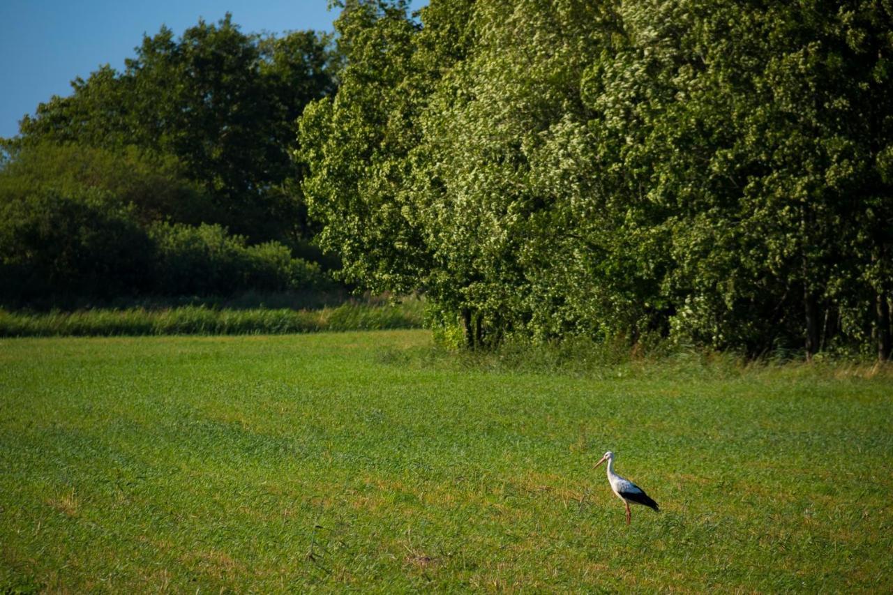 Domek Goscinny Ujście-Darłowskie Exterior foto